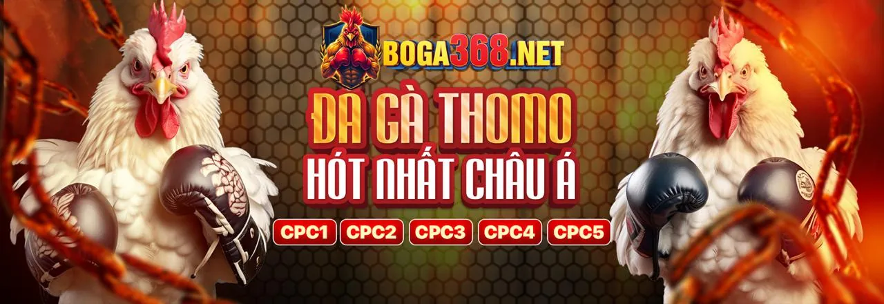 Các loại khuyến mãi đa dạng tại bj388